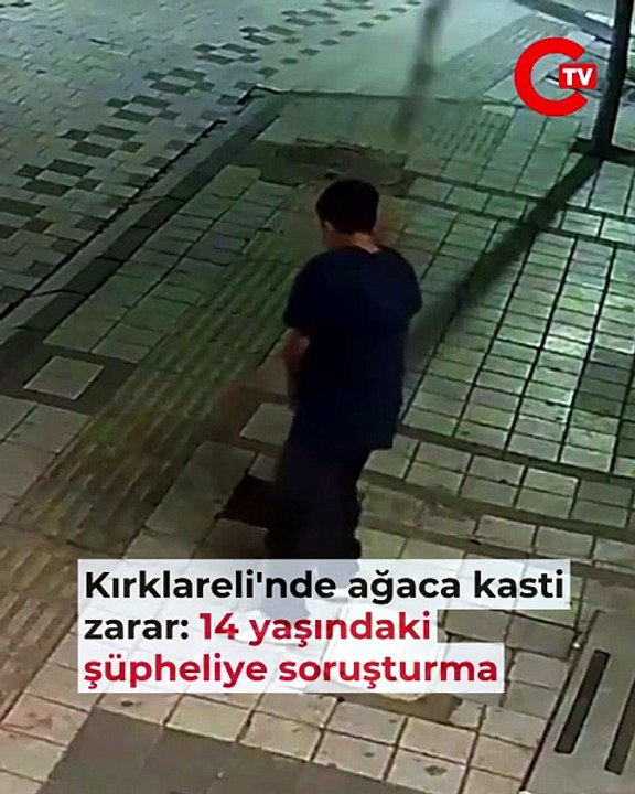 Kırklareli'nde ağaca kasti zarar: 14 yaşındaki şüpheliye soruşturma