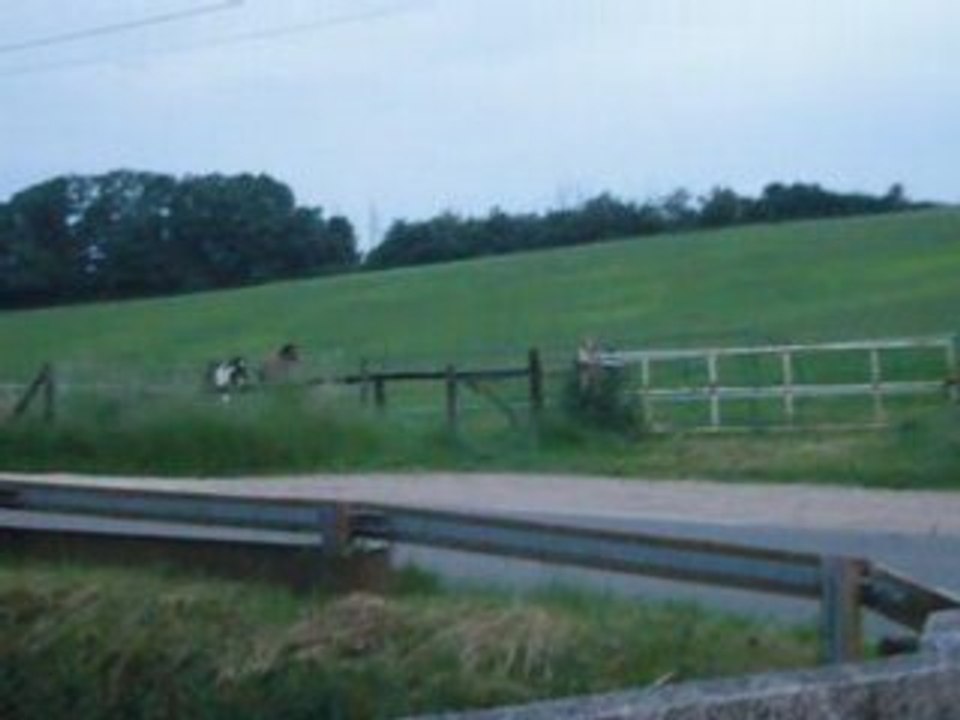 retrouvailles avec les copains de mézu