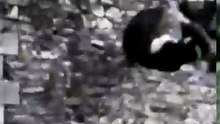 😱 She Climbed the Wall Like a Demon While Carrying a Girl! Terrifying Horror Scene 👻