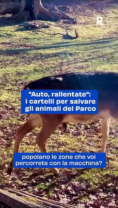 "Nuovi Cartelli Stradali a Bologna: Protezione per la Fauna Selvatica nel Parco dei Gessi"