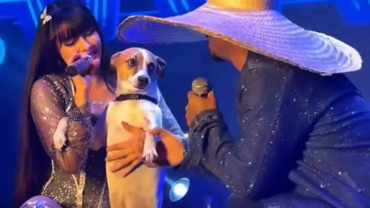Video van Juliana Bonde die op het podium voor haar hond zingt, ontroert fans