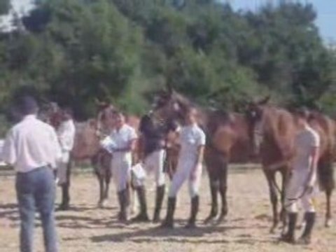 concours modèles et allures Rodez 21 juin 2008