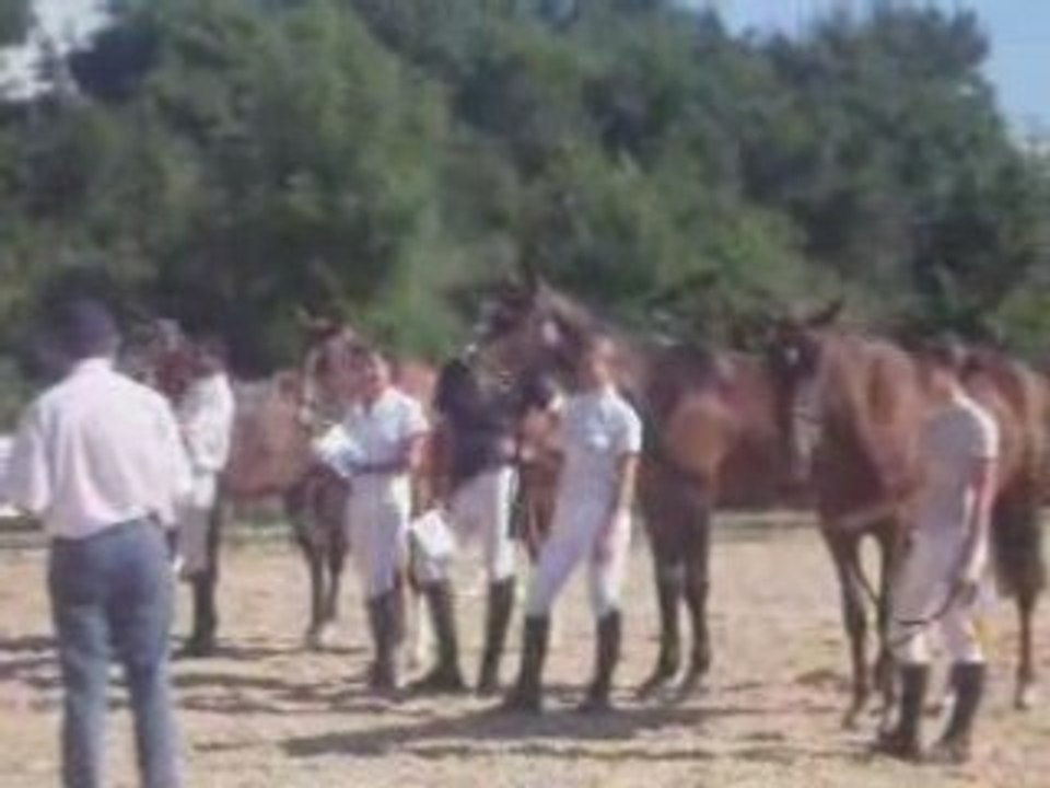concours modèles et allures Rodez 21 juin 2008