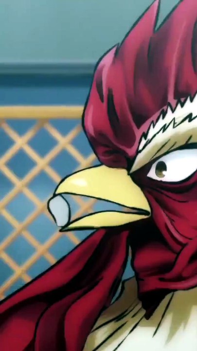 Ce coq a une rage de merde 🐔💢