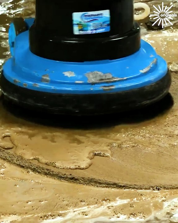 Cleaning the dirtiest carpets ever 🧼