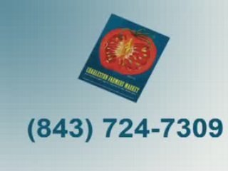 South Carolina Coastal Companion Weekly 2608