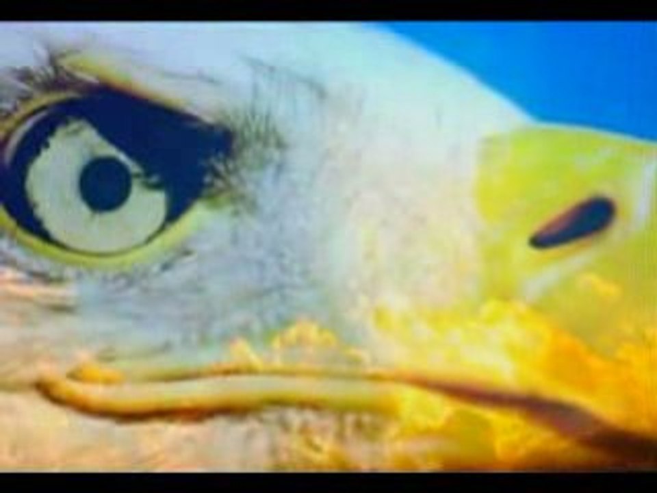 Video Motivacional Ser Forte E Nunca Desistir