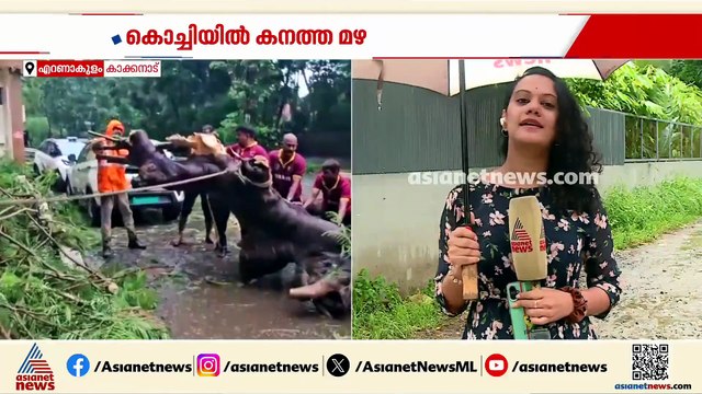 കൊച്ചിയിൽ കനത്ത മഴ; കളക്ടറേറ്റ് വളപ്പിൽ മരം കടപുഴകി വീണു