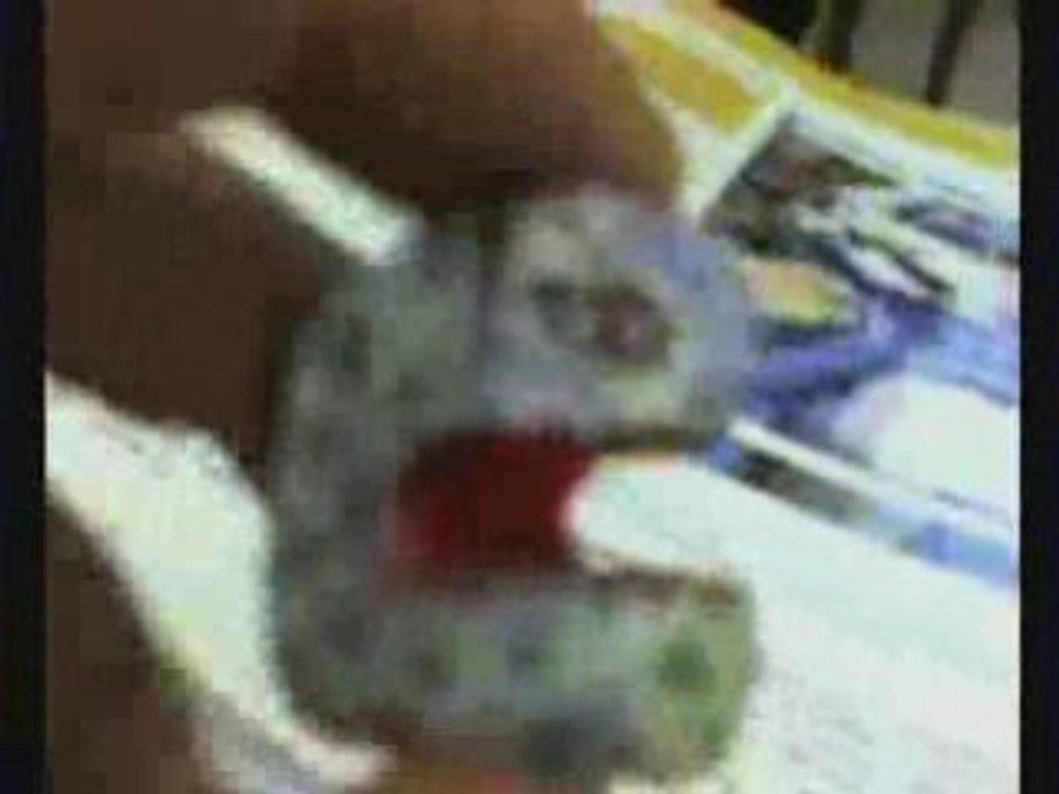 GELEDITION2005-2006