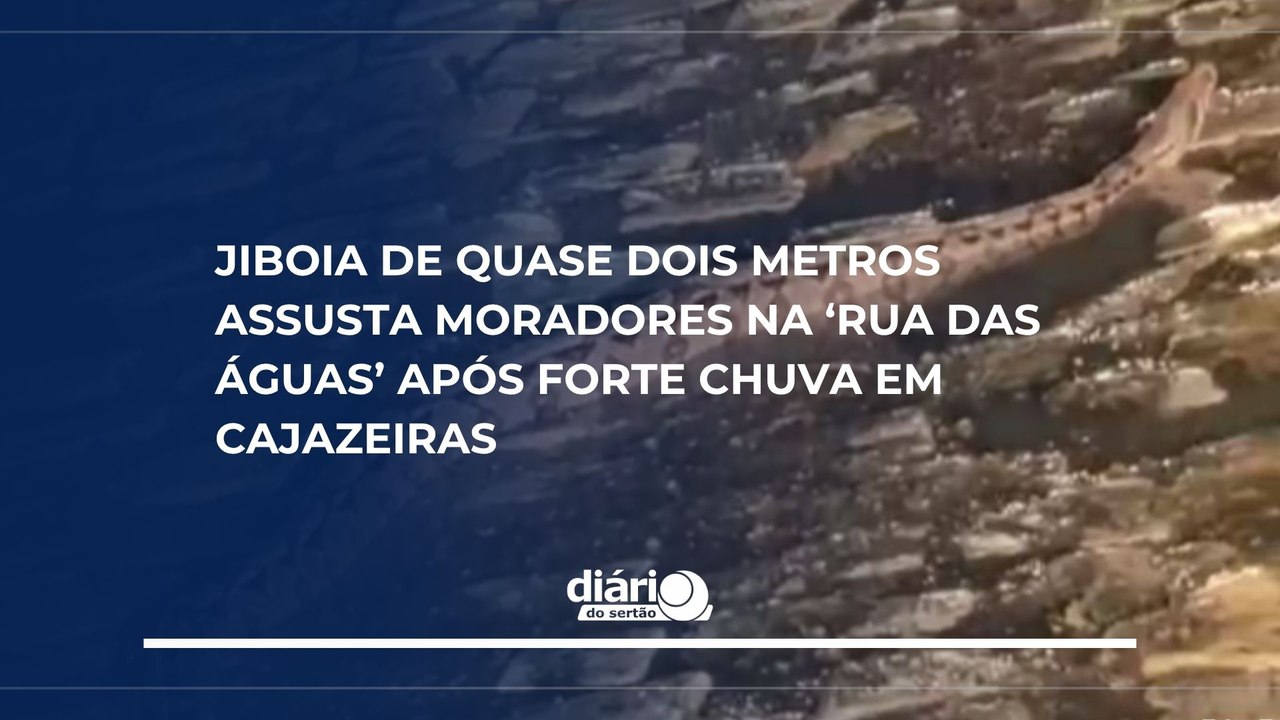 Jiboia de quase dois metros assusta moradores na ‘Rua das Águas’ após forte chuva em Cajazeiras