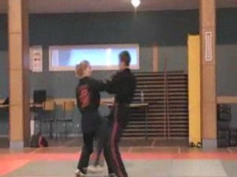 American Kenpo Karaté France Moncheaux Self Défense