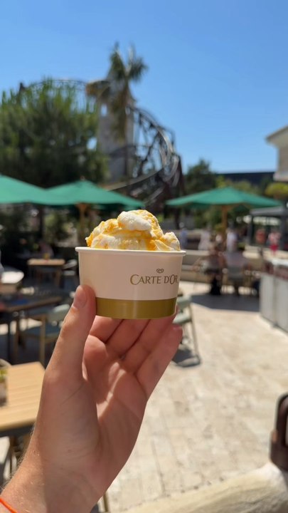 WHAT I EAT EUROPAPARK JOUR 2