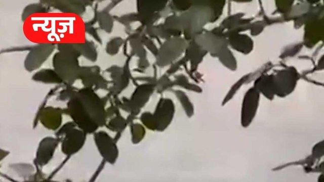 Weather Update: उत्तर भारत में मौसम का यू-टर्न, कई राज्यों में भारी बारिश की चेतावनी