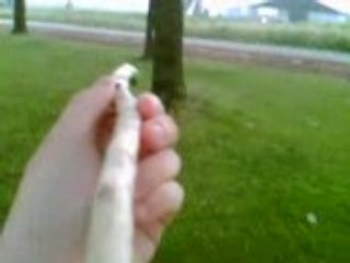 kan un killer s ennui:Partie 4