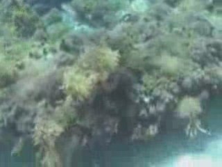 Pyramide sous l'eau au Japon, Nouvelle images 2008