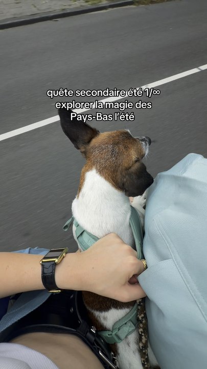 Quête secondaire été 1/∞ : explorer les Pays-Bas l’été
