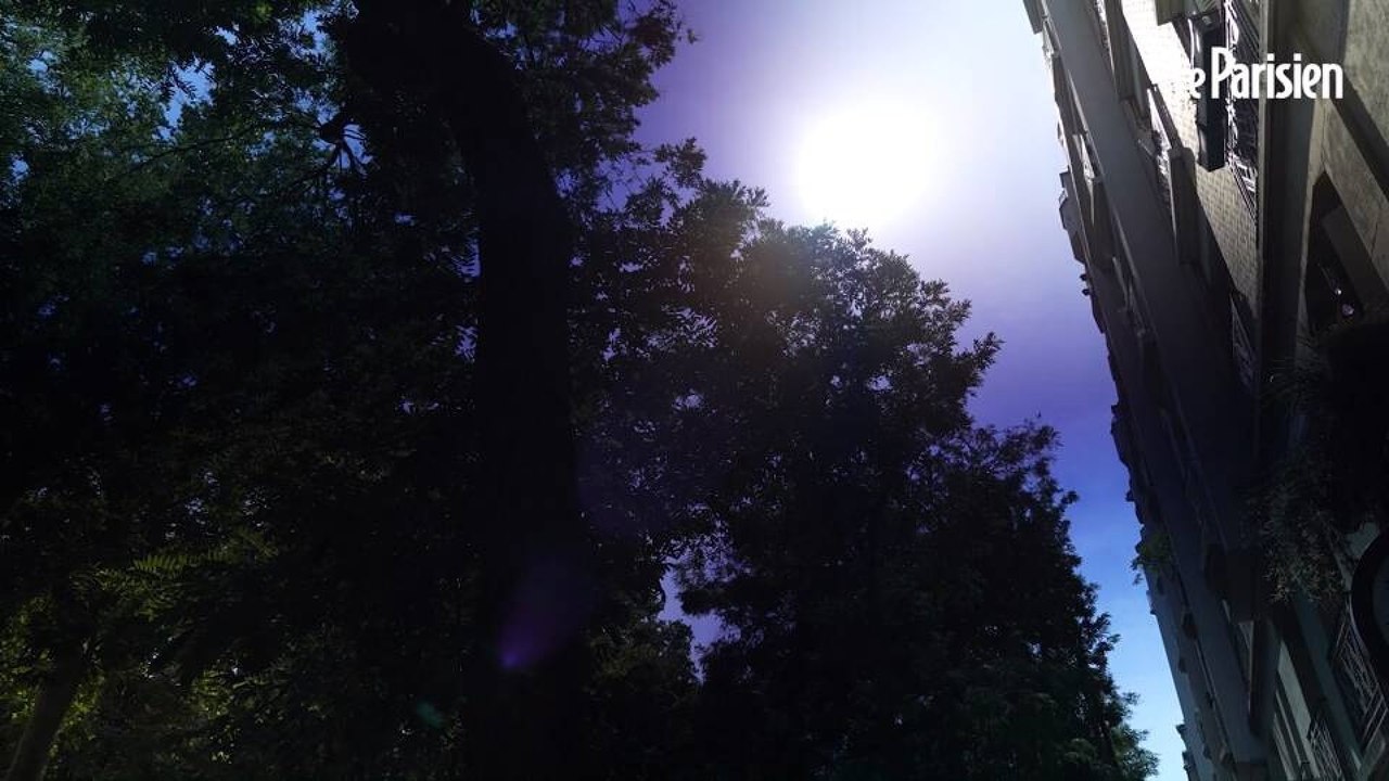 Canicule : « De nombreux décès à domicile » et situation critique à Paris