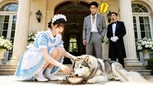 99 Maids Couldn't Calm the CEO's Dog FULL MOVIES ENGLISH SUB