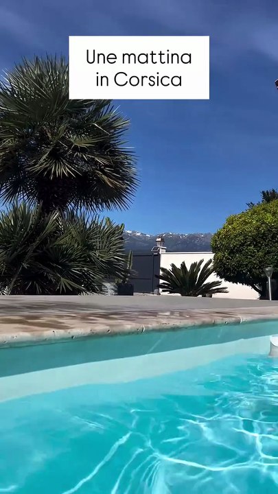 🔥 Una mattina in Corsica. Une matinée en Corse. #piscine #soleil #vacances #travel.mp4