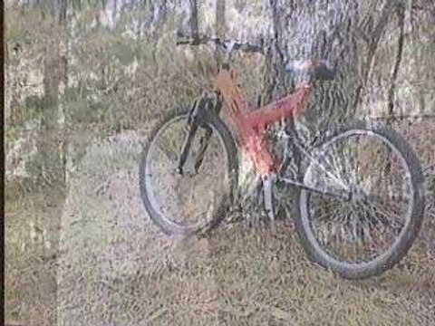 VTT dans la forêt des Landes