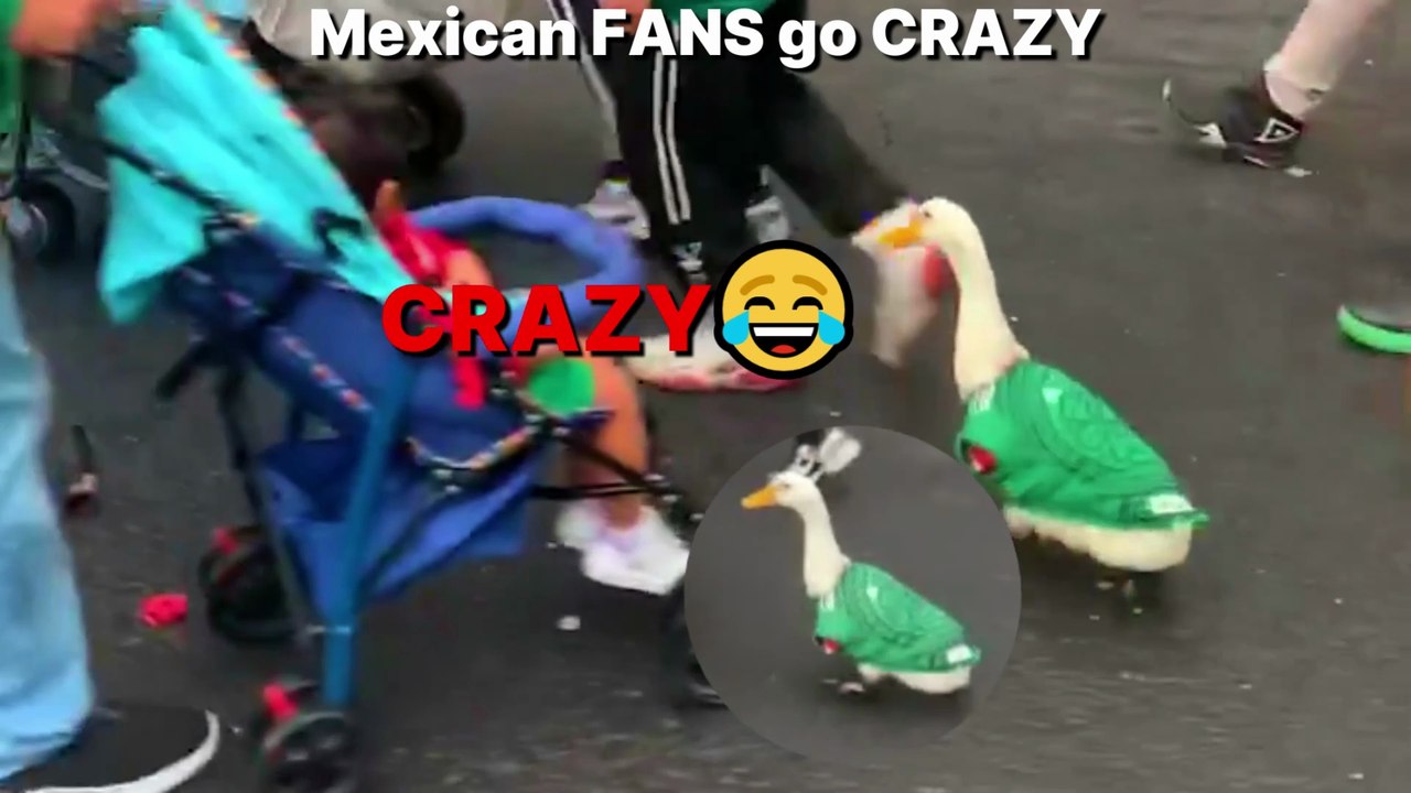 CRAZY😂 Mexico & South Korea FANS REACT to wins | FIFA World Cup 2026
