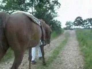 11.6.08balade-jm-sophie-moi-mamour-cannelle (1)