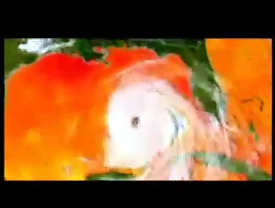 Tráiler Al Gore una verdad incómoda