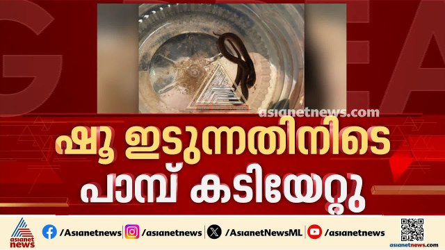 ഷൂ ഇടുന്നതിനിടെ പാമ്പ് കടിച്ചു; കോഴിക്കോട് യുവതി ചികിത്സയില്‍ | Kozhikode | Snake Bite