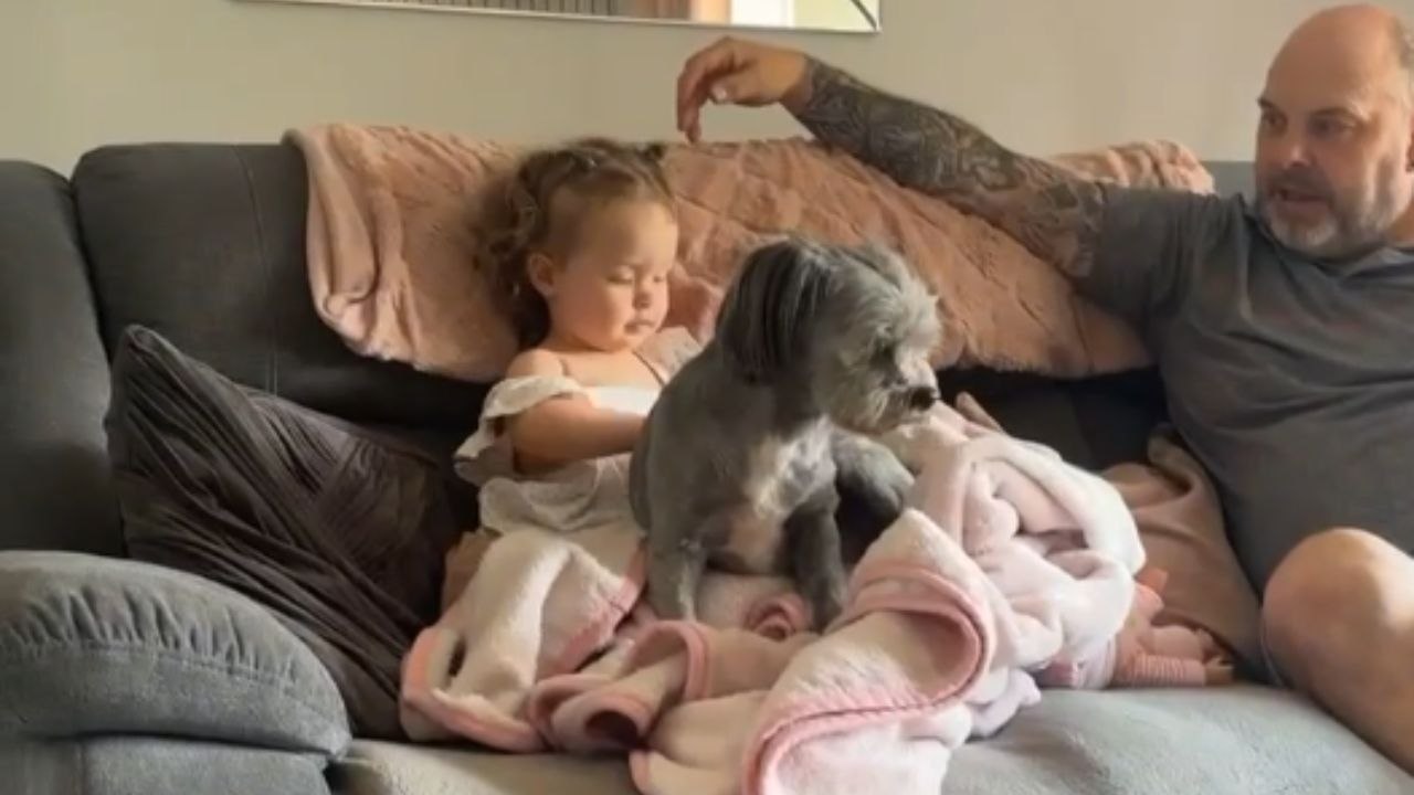 Heartwarming Moment: Toddler Adored by Grandparents' Fluffy Dog