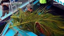 바다 멀미하는데 끝없이 얘기하는 잼민 종현ㅋㅋㅋ?