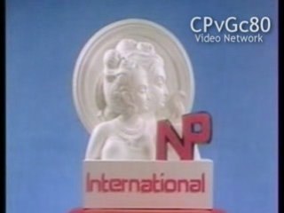 NP International Logo Overview