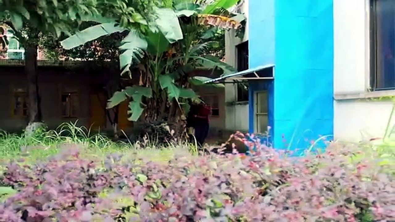 The Ultimate Special Forces Descend—Sweeping Aside Bandits to Save the Day!