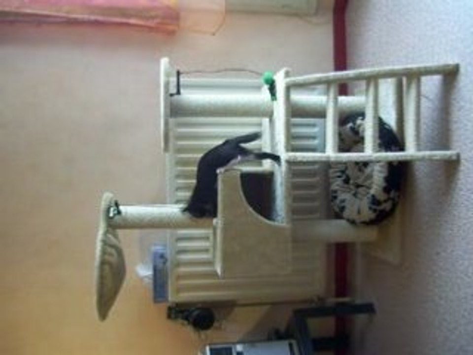 Louna