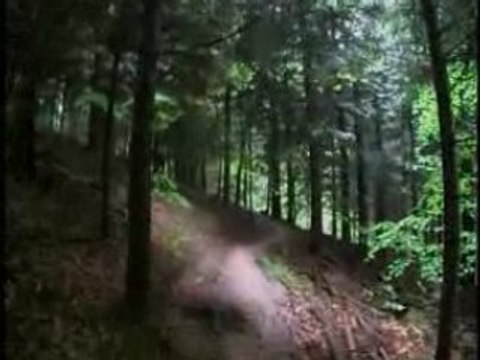 potes n'bikes - grenoble 2008