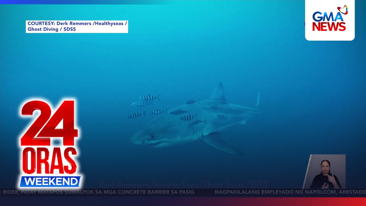 Great white shark, nanorpresa ng mga diver sa Mediterranean Sea | 24 Oras Weekend