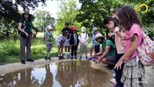 Sans commentaire: sortie grenouilles