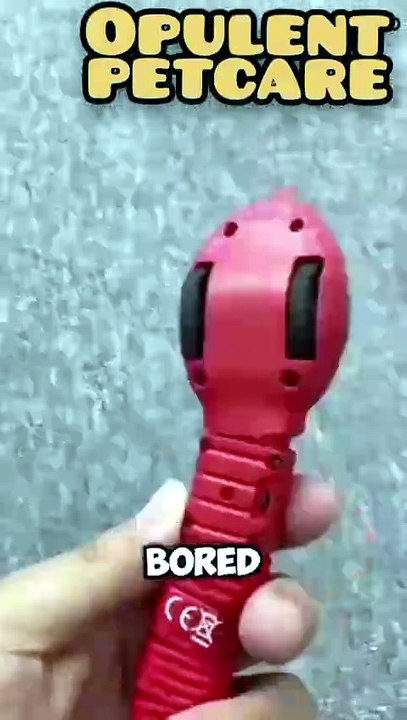 Smart Snake Toy