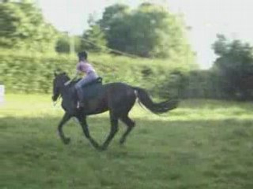 Départs au galop à partir du pas