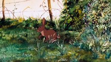 Watership Down 1978 1080p BluRay H264 AAC RARBG | Film Completo in Italiano