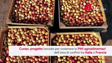 Agroindustria, Cuneo lancia Tra_in: formazione, imprese e filiere integrate sull’arco alpino