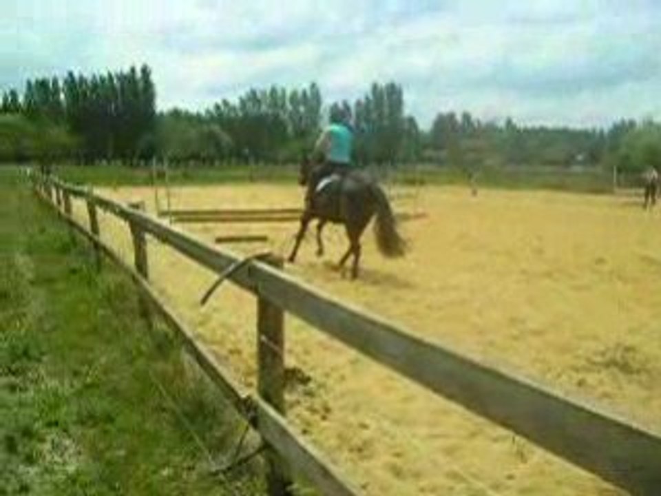 Virgiie et vivaldi saut