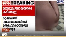 'എന്ന് തീരും തെരുവുനായ ശല്യം?' വീട്ടുമുറ്റത്ത് കളിച്ചുകൊണ്ടിരുന്ന സഹോ​ദരങ്ങളെ തെരുവുനായ ആക്രമിച്ചു