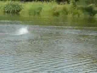 H 3S 3000 KV 3600 X432 small TF