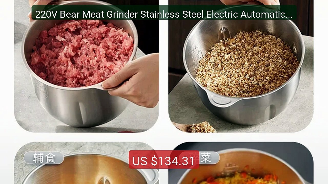 220V Bear Meat Grinder Stainless Steel Electric Automatic Mult... -- Best Buy 2026 | Great Quality!