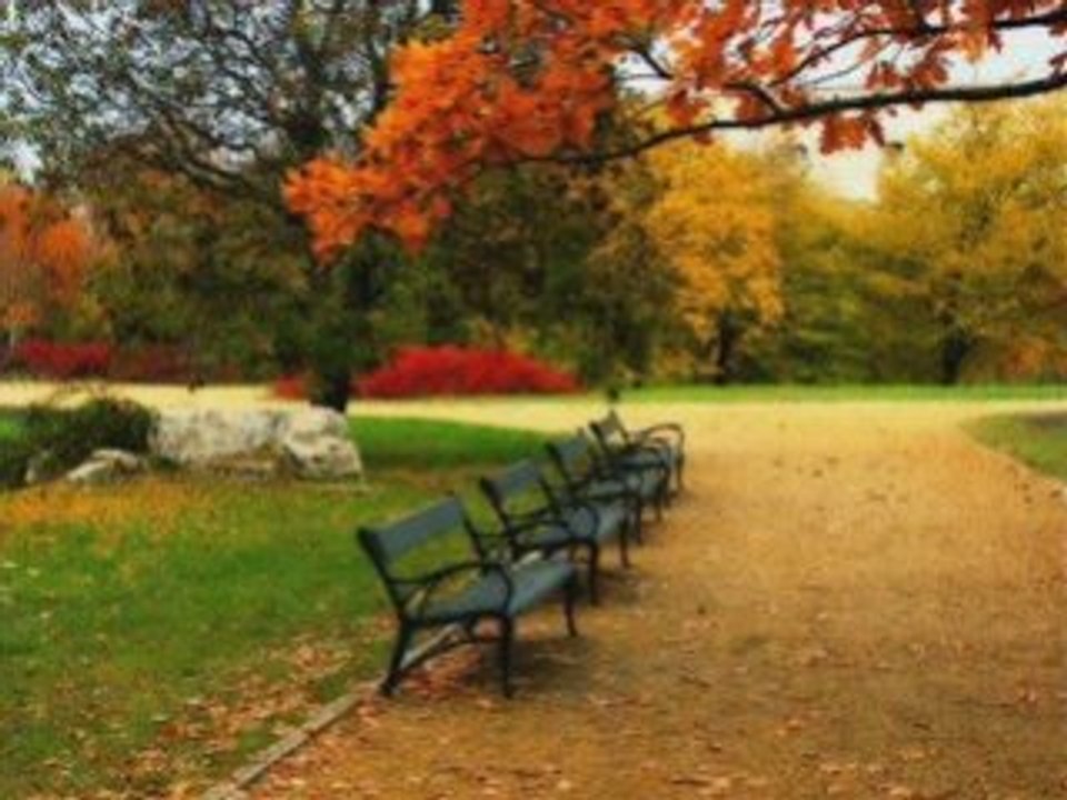 Saymadim kaç yil oldu ahmet özhan