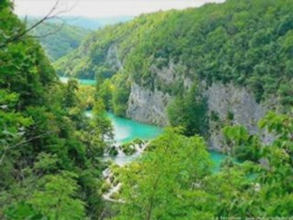 Auprès de mon arbre