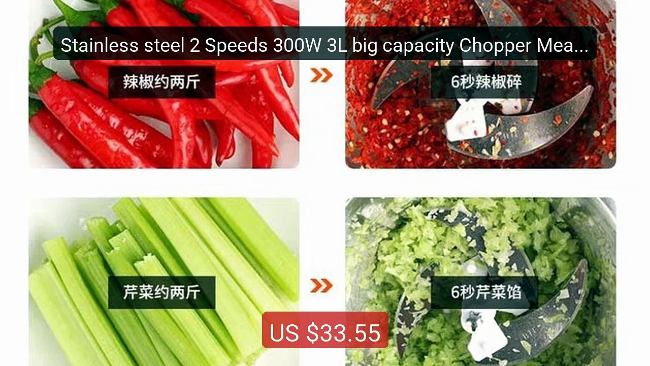 Stainless steel 2 Speeds 300W 3L big capacity Chopper Meat Grinder... -- Best Deal 2026 | Shop Now!