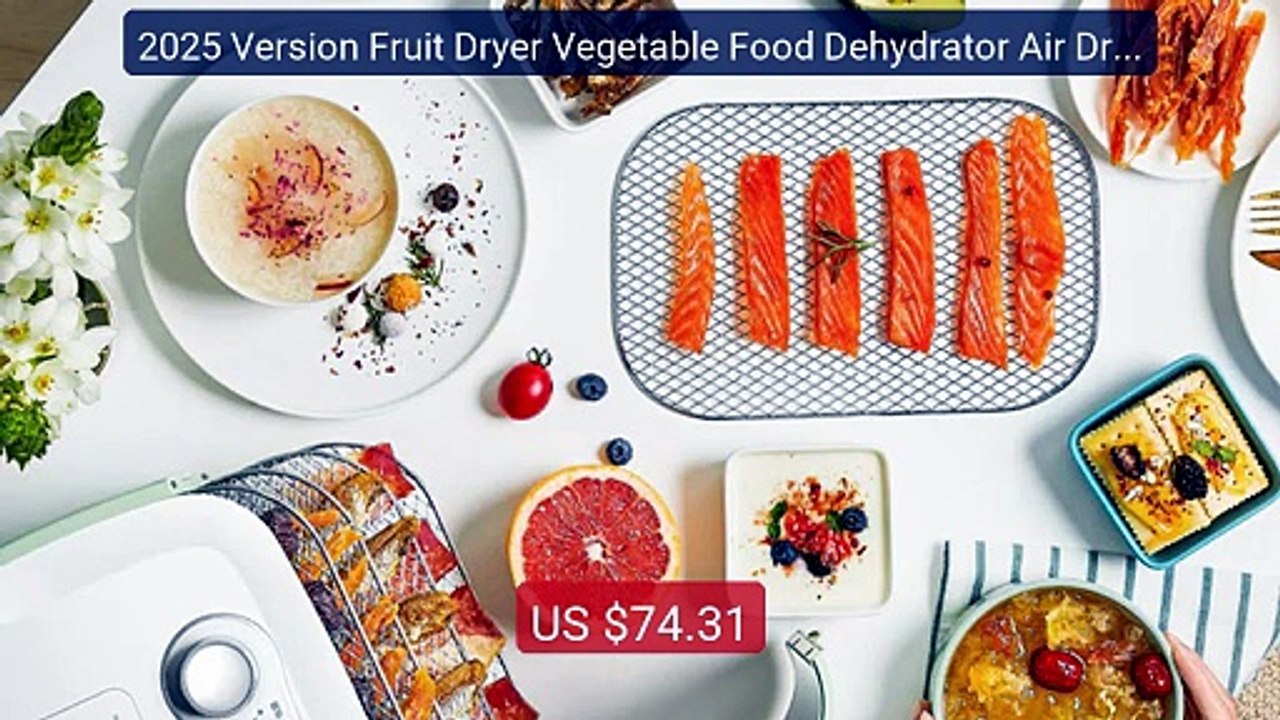 2025 Version Fruit Dryer Vegetable Food Dehydrator Air Dryer Small ... -- Top Rated 2026 | Buy Now!