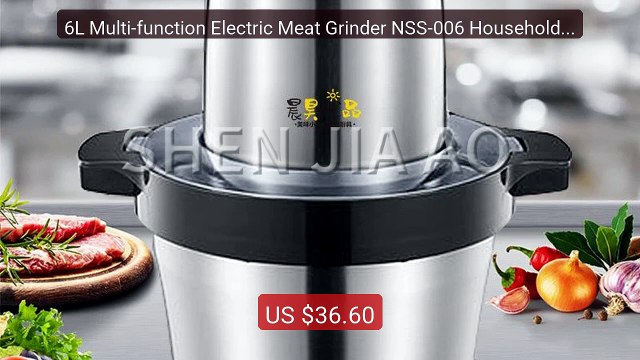 6L Multi-function Electric Meat Grinder NSS-006 Household A... Top Pick 2026 | Unbeatable Price!