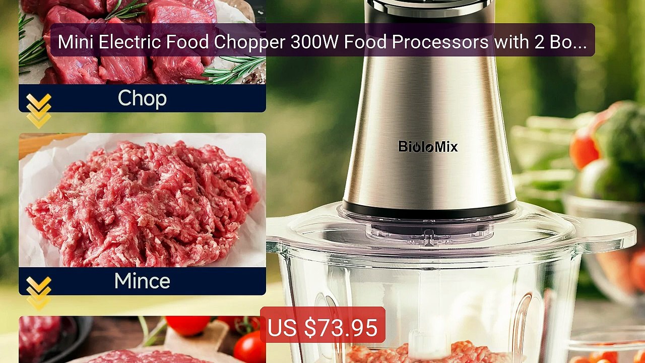Mini Electric Food Chopper 300W Food Processors with 2 Bowls, Meat ... -- Top Rated 2026 | Buy Now!